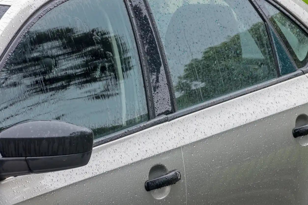 Common Causes Of Glass Water Leaks And How To Prevent Them in Ocala FL