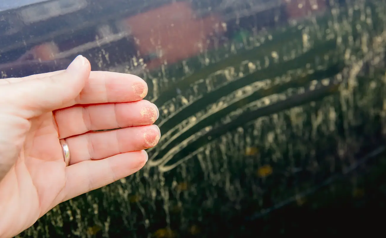 How To Detect And Fix Water Leaks In Glass Windows Ocala FL